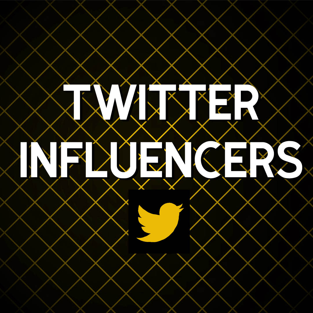 Twitter (X) influencers